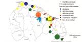   Carte - Extrait Rapport gisement biomasse en Guyane