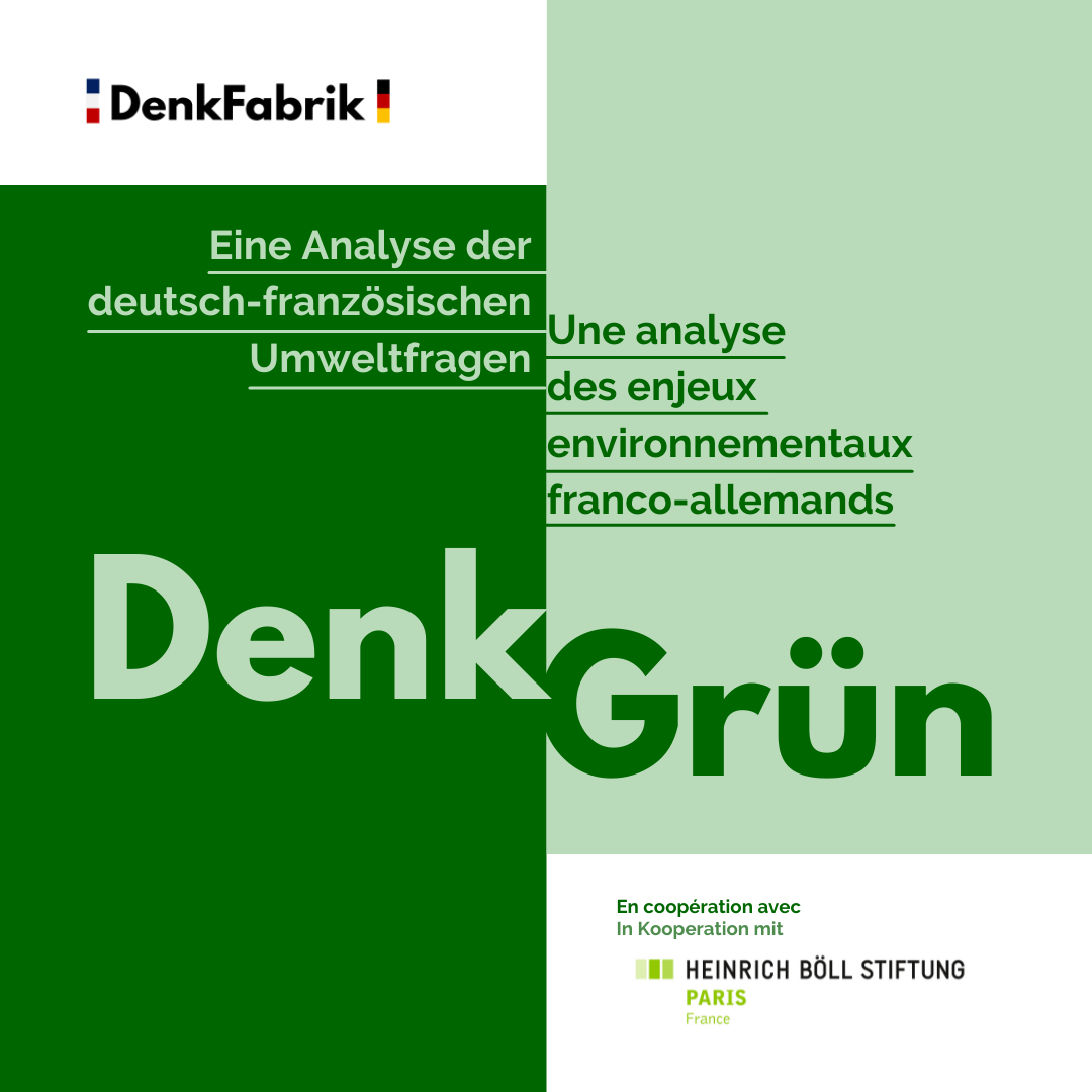 DenkGrün DenkGrün