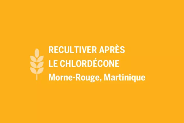 chlordécone