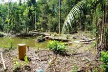 Ancienne mine d'or illégale en Guyane - 2019