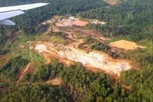 La forêt amazonienne en Guyane