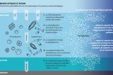 Microplastiques et océans