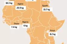 Une consommation disparate