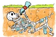 Case de bd sur le plastique dans les sols