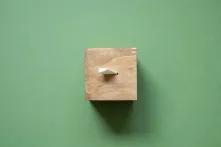 Urne en bois avec bulletin de vote inséré, sur un fond vert