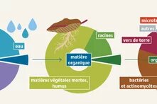 sol vivant atlas des sols