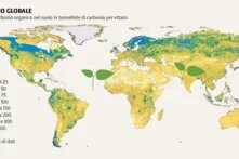 La maggior parte del carbonio organico nel suolo si trova nelle regioni settentrionali del permafrost e nelle foreste boreali. Le foreste tropicali invece immagazzinano la maggior quantità di carbonio soprasuolo nelle piante