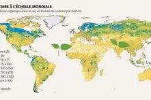 Un inventaire à l'échelle mondiale