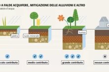 Un suolo profondo e ben sviluppato può immagazzinare grandi quantità d’acqua, parte della quale scende a formare le falde acquifere. 