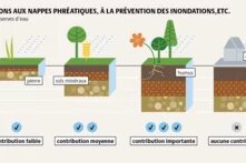 Contribution aux nappes phréatiques