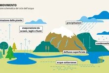 L'intervento dell'uomo altera il ciclo dell'acqua. Nel bacino del Congo, la deforestazione della foresta pluviale potrebbe ridurre le precipitazioni locali del 10%.