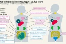 Sostanze chimiche come i PFAS contaminano le fonti idriche nel lungo periodo. Si degradano lentamente, si accumulano in natura e minacciano l'acqua potabile e la vita umana.