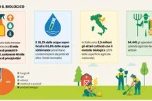 Per ISPRA il 40% dei suoli agricoli intensivi in Italia rischia il degrado entro il 2050: biologico e agroecologia sono alternative concrete.