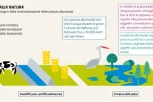 I paesaggi delle pianure alluvionali semi-naturali favoriscono la biodiversità, contribuiscono a mitigare la crisi climatica, forniscono una protezione naturale dalle alluvioni e sono luoghi ricreativi molto apprezzati.