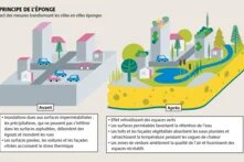 Les phénomènes climatiques extrêmes causent chaque année plus de 200 milliards de dollars américains de dégâts au niveau mondial. Des mesures d’adaptation s’imposent d’urgence pour protéger les villes.