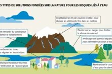 Les solutions fondées sur la nature sont des actions qui s’appuient sur les écosystèmes – préservés ou restaurés, résilients et fonctionnels, fournissant des services écosystémiques – pour relever les défis que posent les changements globaux à nos sociétés.