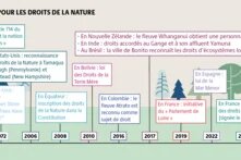 Partout dans le monde, de nombreuses initiatives ont été menées pour reconnaître les droits de la Nature.