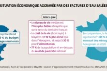 Les comparaisons à la France hexagonale mettent en exergue la situation économique critique des Mahorais, et les injustices environnementales et sociales auxquelles ils sont confrontés.