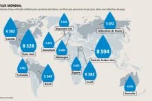 L’eau virtuelle, que l’on ne voit pas, sert à produire des biens. Le Nord global en consomme de grandes quantités à travers ses importations.