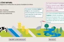 Les plaines inondables proches de leur état naturel favorisent la biodiversité, contribuent à atténuer les effets du changement climatique, offrent une protection contre les inondations et constituent des lieux récréatifs appréciés.