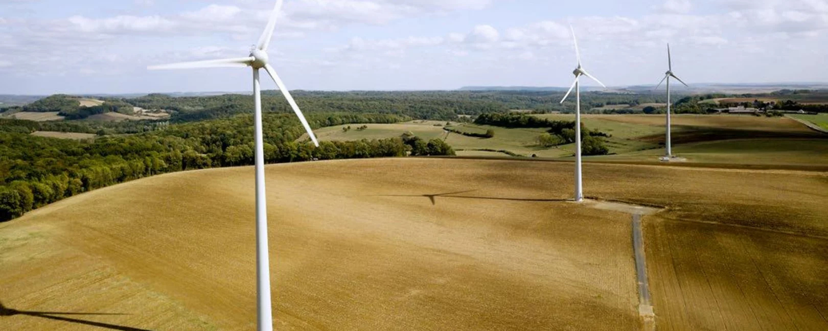 Les Ailes de Crêtes dans le Grand Est