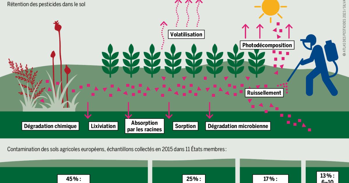 Sols Et Microorganismes : Un écosystème Invisible Victime Des ...