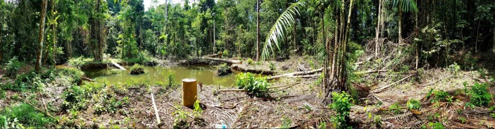 Ancienne mine d'or illégale en Guyane - 2019 Ancienne mine d'or illégale en Guyane - 2019