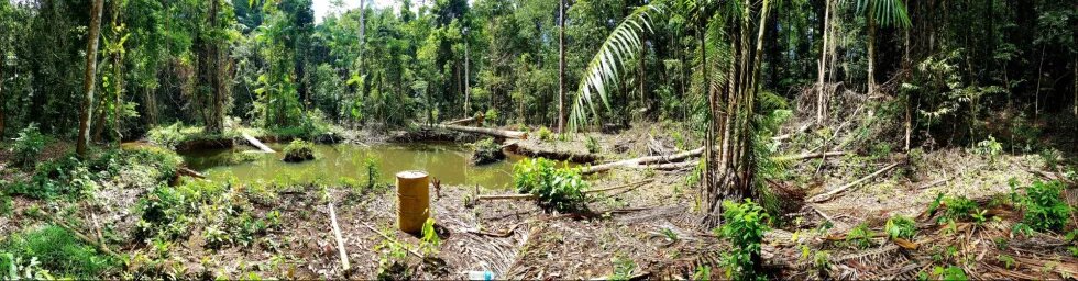 Ancienne mine d'or illégale en Guyane - 2019