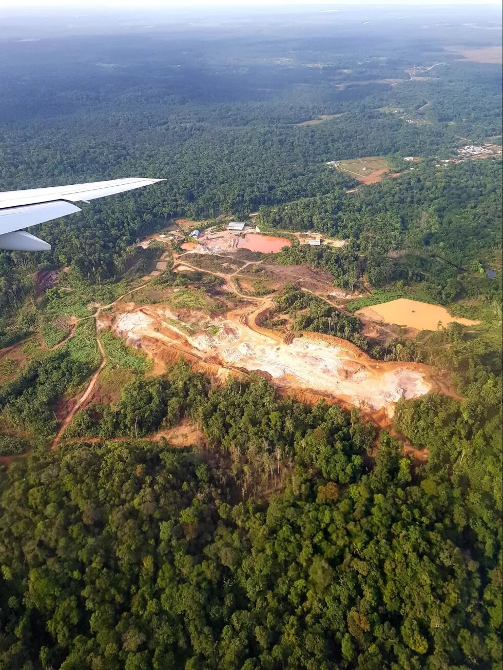 La forêt amazonienne en Guyane