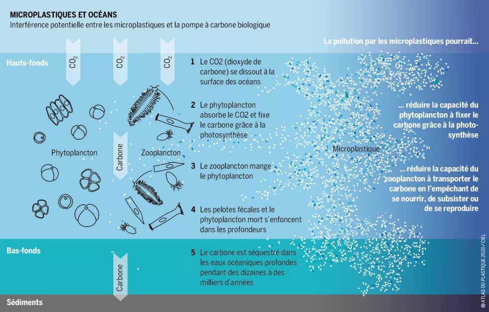 Microplastiques et océans