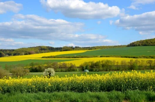 Paysage de campagne