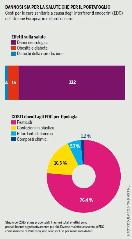 GRAFICO