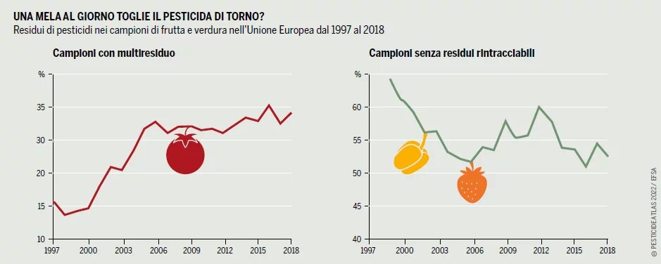 grafico