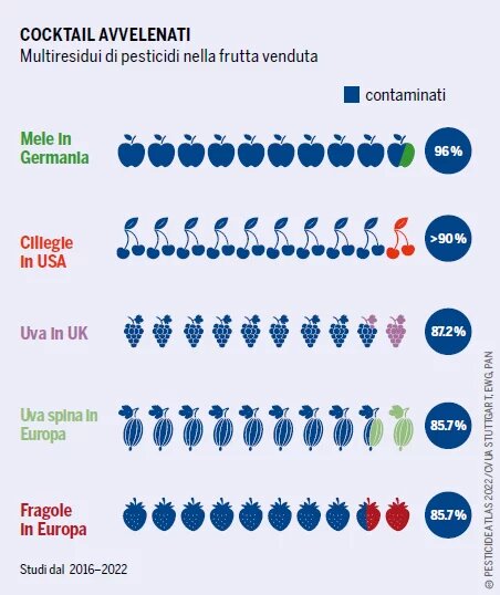 GRAFICO