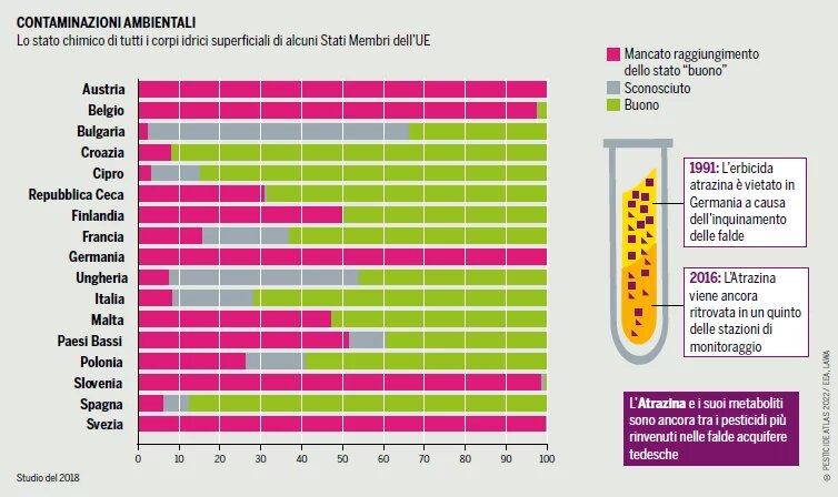 GRAFICO