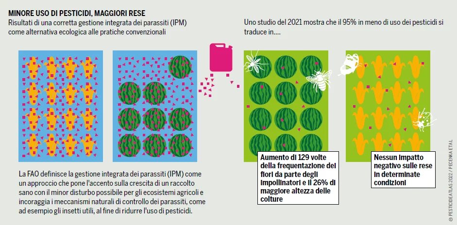 grafico