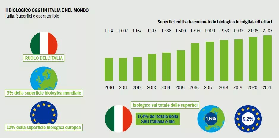 grafico