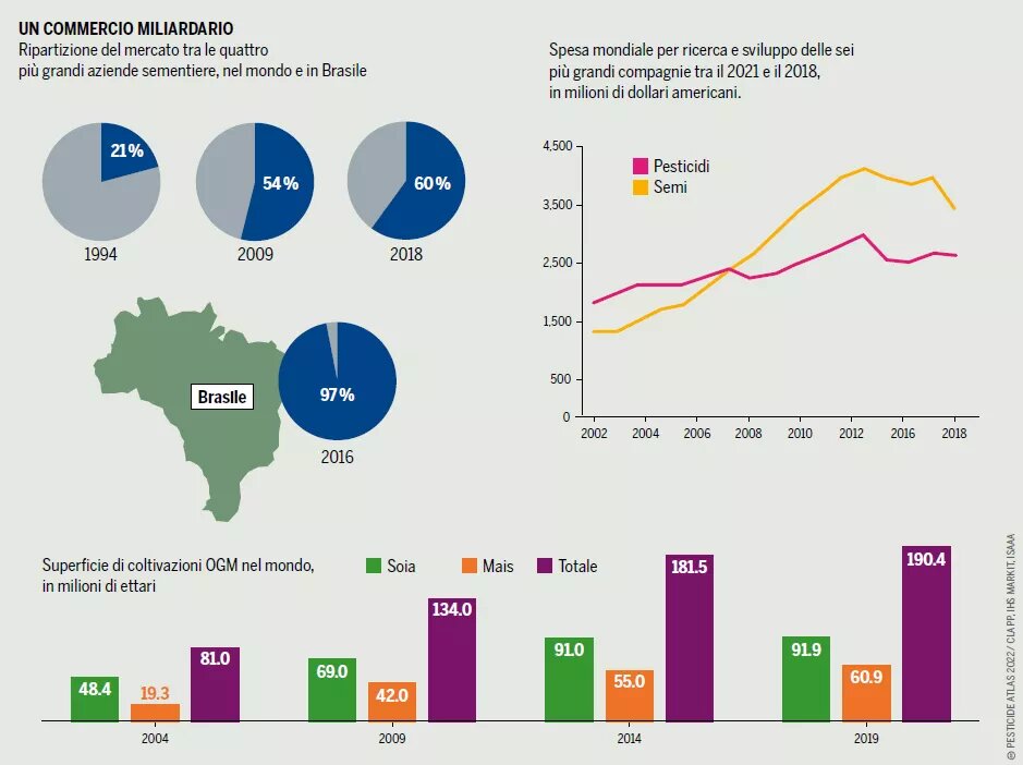 GRAFICO