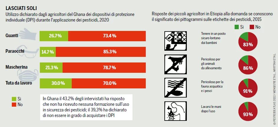 GRAFICO