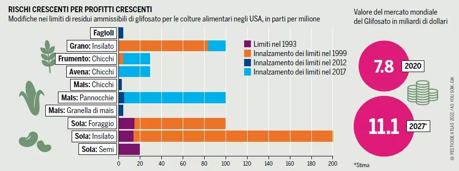 grafico