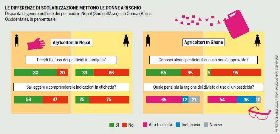 grafico