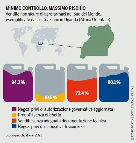 grafico