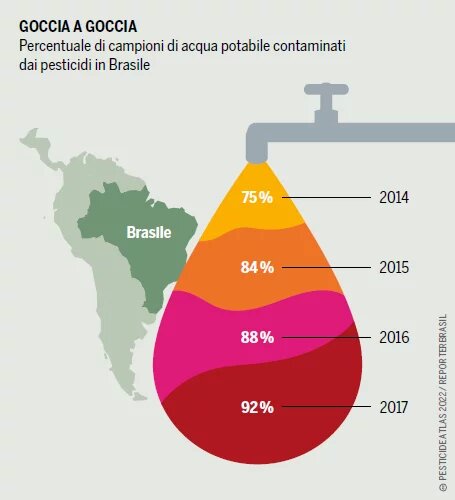 grafico