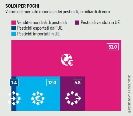 grafico