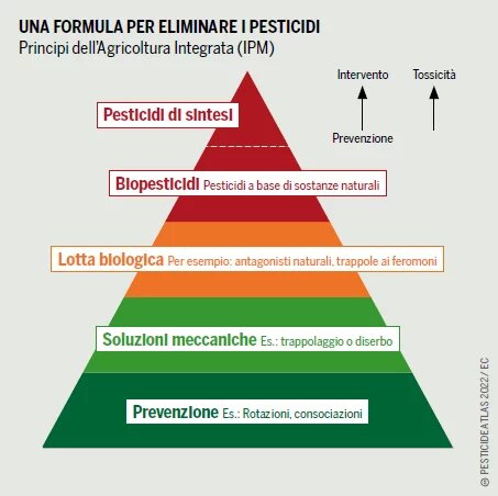 grafico