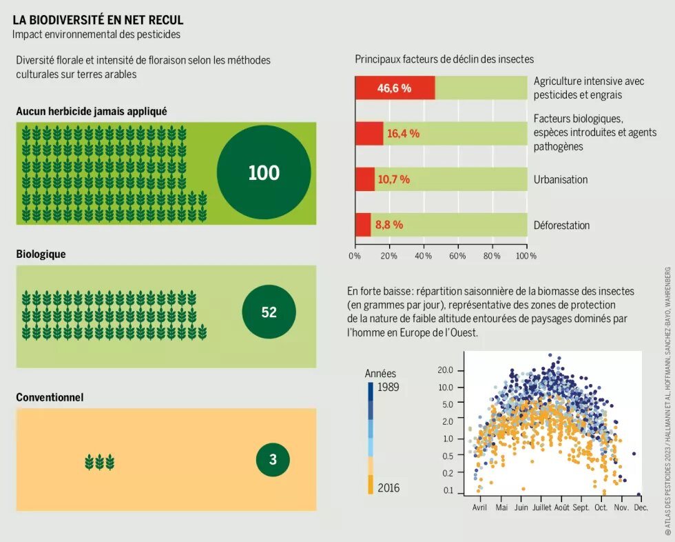 graphique