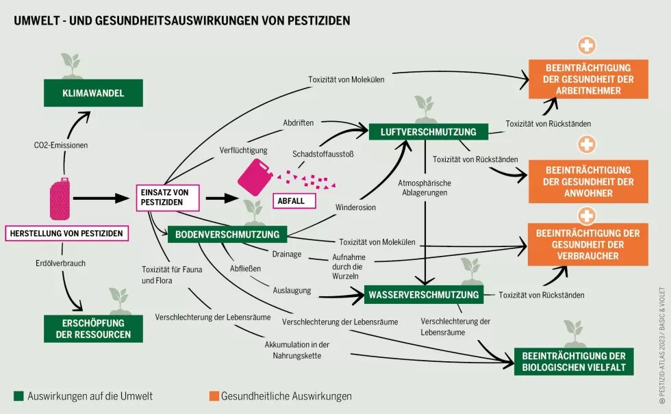 Diagramm