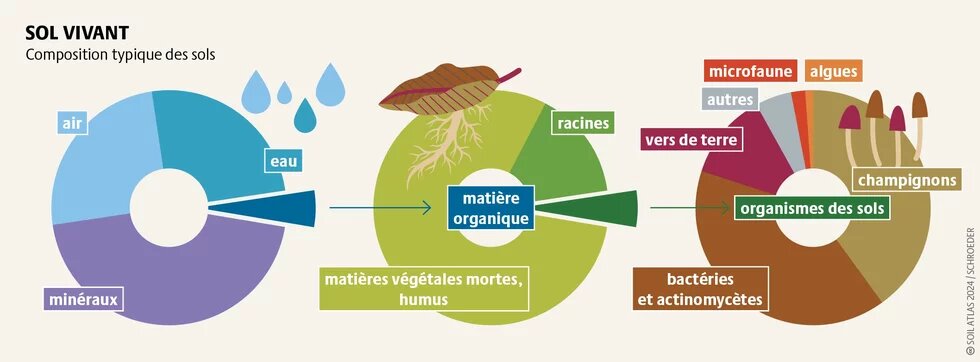 sol vivant atlas des sols