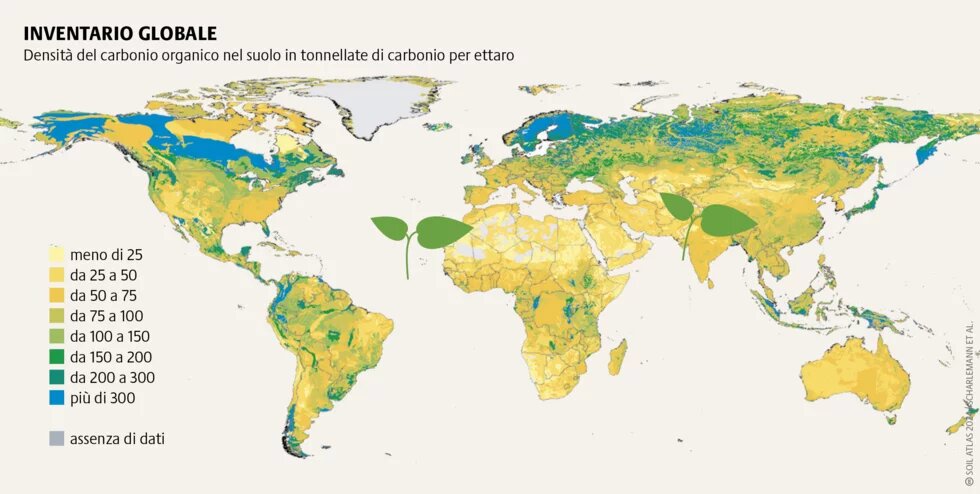 La maggior parte del carbonio organico nel suolo si trova nelle regioni settentrionali del permafrost e nelle foreste boreali. Le foreste tropicali invece immagazzinano la maggior quantità di carbonio soprasuolo nelle piante