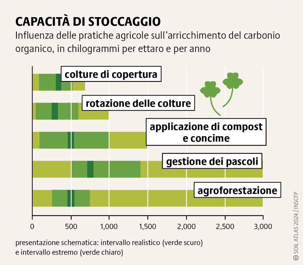 Una gestione sostenibile del suolo può raccogliere la CO2 dell’atmosfera, ma le variazioni d’uso della terra e gli eventi atmosferici estremi minacciano lo stoccaggio del carbonio.